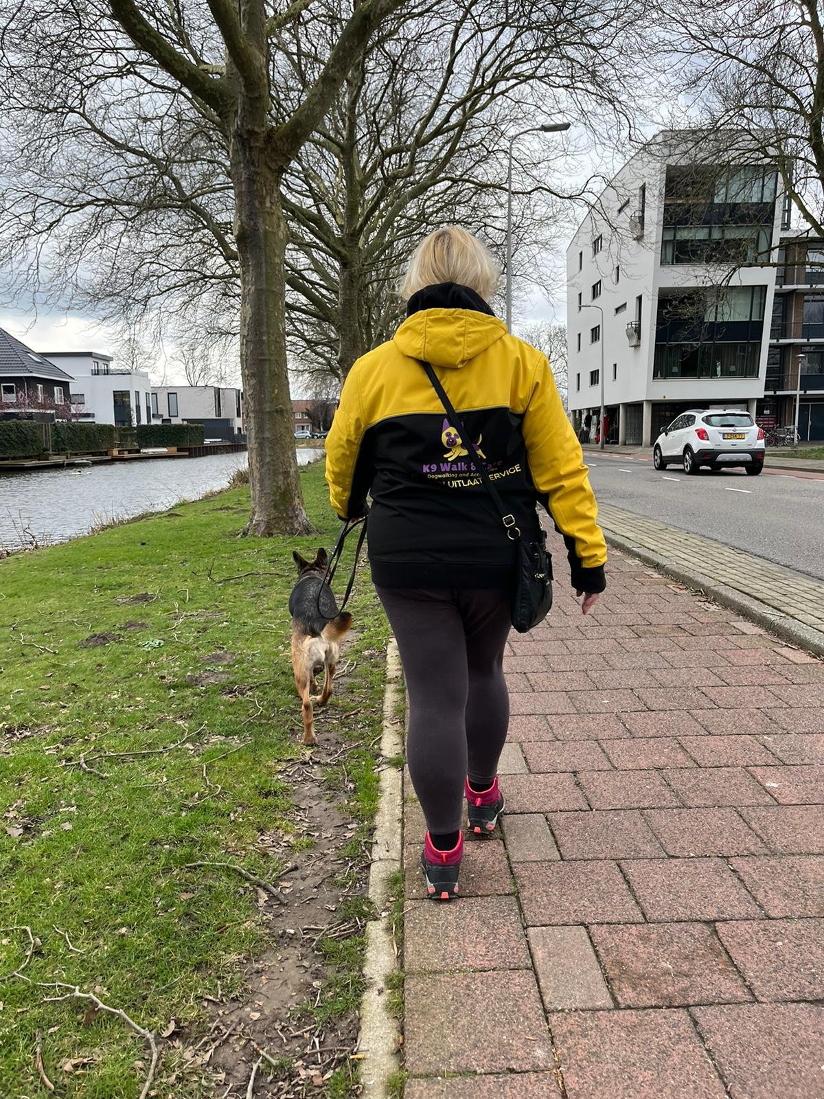 hondenuitlaatservice rotterdam oost